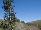 Russian Ridge 18